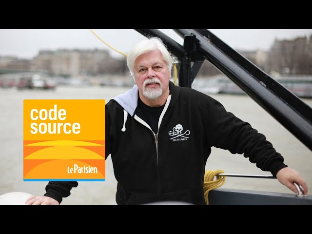 ⁣[PODCAST] Paul Watson, le « pirate » défenseur des baleines