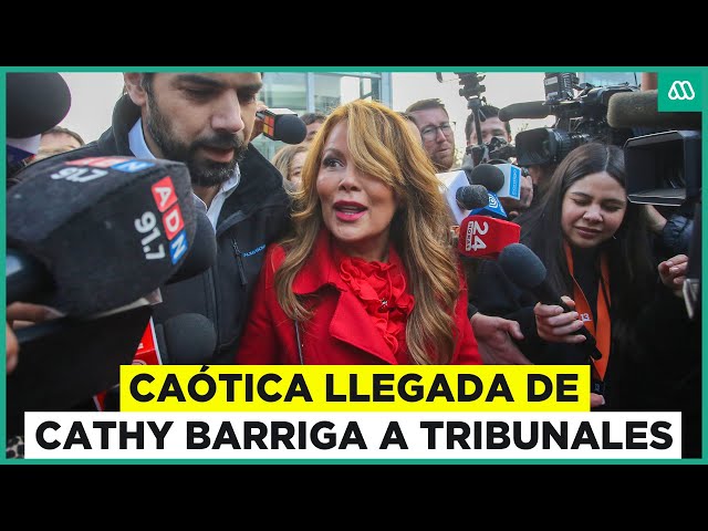 ⁣"Siempre estoy tranquila": Caótica llegada de Cathy Barriga al centro de justicia