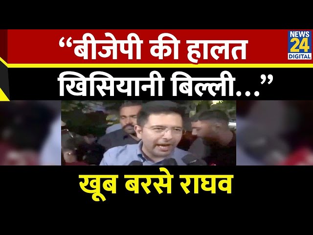 ⁣जेल से बाहर आए केजरीवाल Raghav Chadha बोले  “बीजेपी की हालत खिसियानी बिल्ली…”