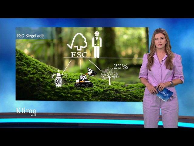 ⁣FSC adé – warum Hessen bei der Zertifizierung des Waldes aussteigt | KlimaZeit