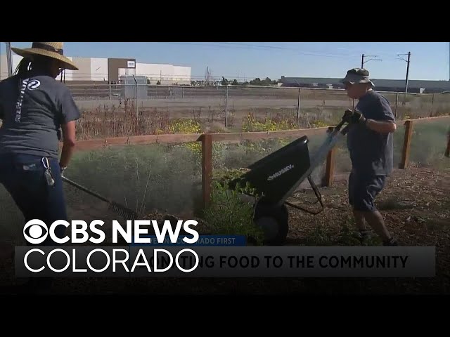 ⁣Colorado volunteers provide manpower for dozens of service projects