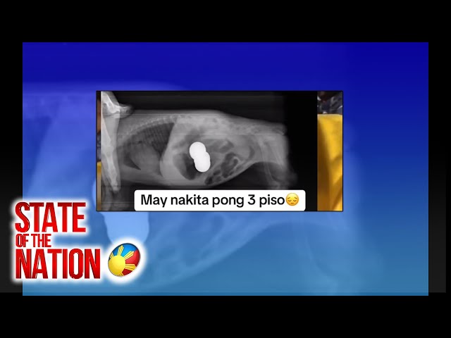 ⁣State of the Nation: (Part 2) Salpukan ng tren at truck sa U.S.; Tutang nakalunok ng barya, atbp.