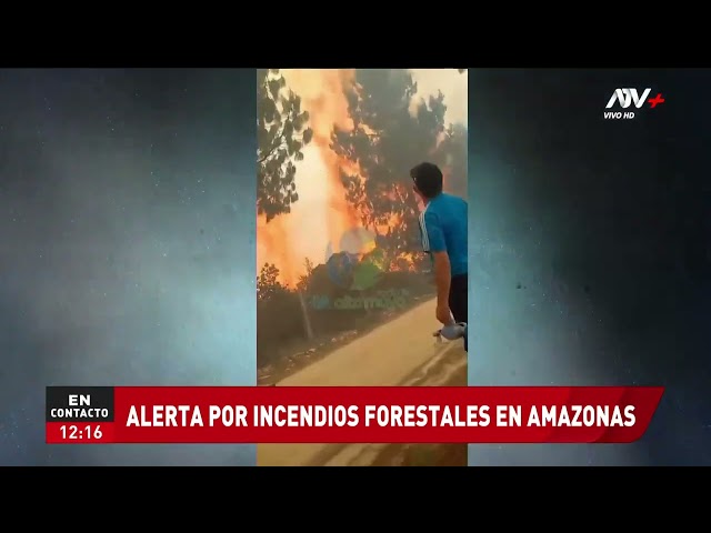 Amazonas: incendios forestales destruyen hábitat del oso andino y dejan 7 fallecidos