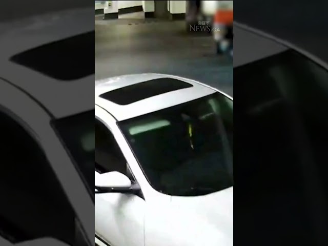 ⁣Video shows failed carjacking of woman in Markham