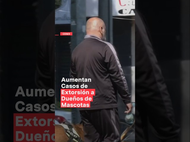 ⁣Aumentan casos de extorsión a dueños de mascotas #nmas #shorts