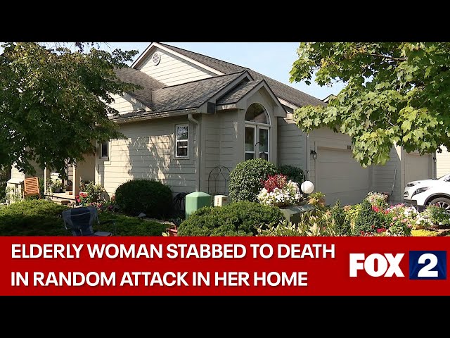 ⁣NAKED SUSPECT attacks and kills 81-year-old in her own home