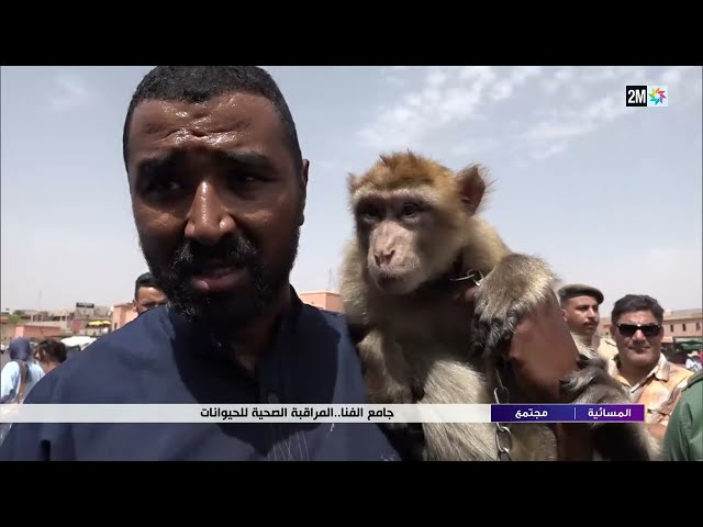 ⁣جامع الفنا.. المراقبة الصحية للحيوانات