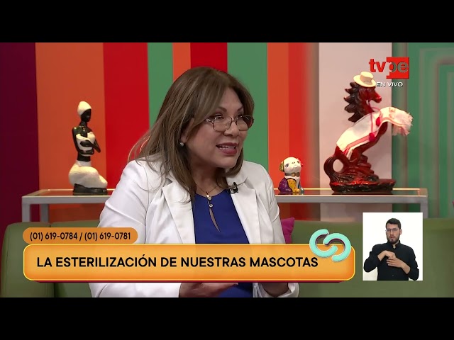 ⁣Cuidado de mascotas: ¿Cuándo debo esterilizar a mi perro o gato?