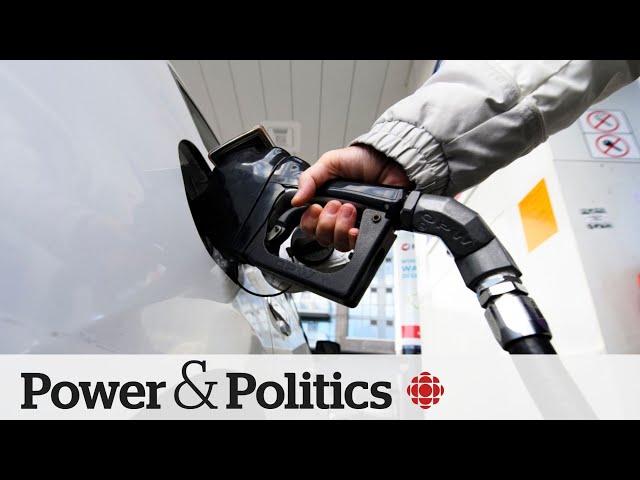 ⁣What's the future of the Liberal carbon tax? | Power & Politics