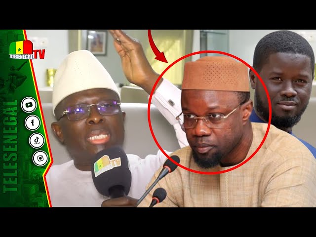 ⁣Modou Diagne Fada Charge Sonko "waroul révélé ay Décret… PR Diomaye dafa wédi bopam…"