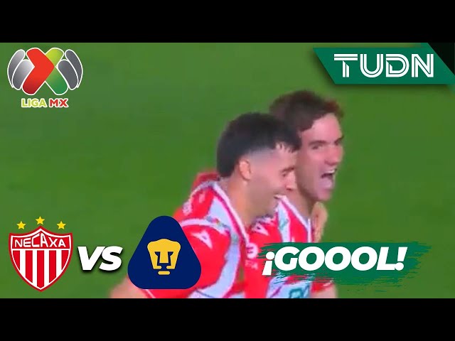 ⁣¡GOLAZO! Palavecino saca un BOMBAZO | Necaxa 1-0 Pumas | Liga Mx -AP2024 - J7 | TUDN