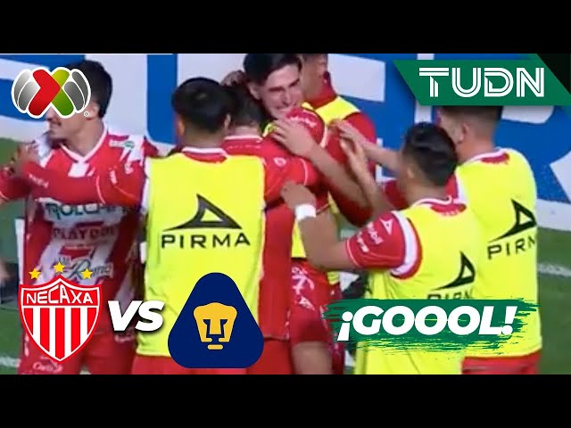 ⁣¡CAYÓ EL SEGUNDO! Gol de Fernando Arce | Necaxa 2-0 Pumas | Liga Mx -AP2024 - J7 | TUDN