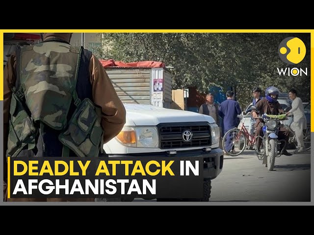 ⁣Deadly attack in Afghanistan: Shooting target Hazara Shiite Community | WION