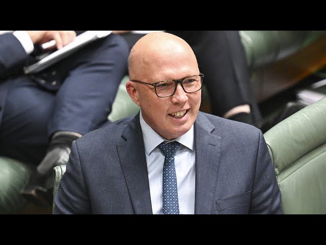 ⁣Nationals leader lauds ‘courageous’ Peter Dutton for nuclear energy stance