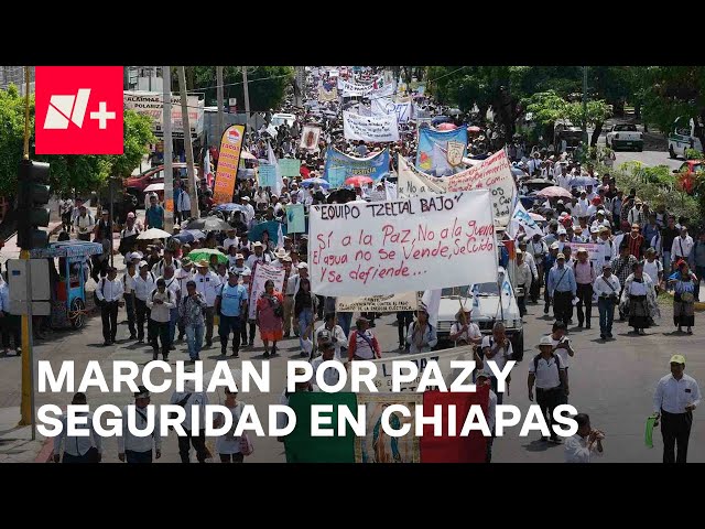 Miles exigen un alto a la violencia en Chiapas en Marcha por la Paz - En Punto