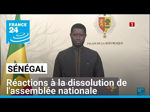 ⁣Réactions à la dissolution de l'assemblée nationale au Sénégal • FRANCE 24