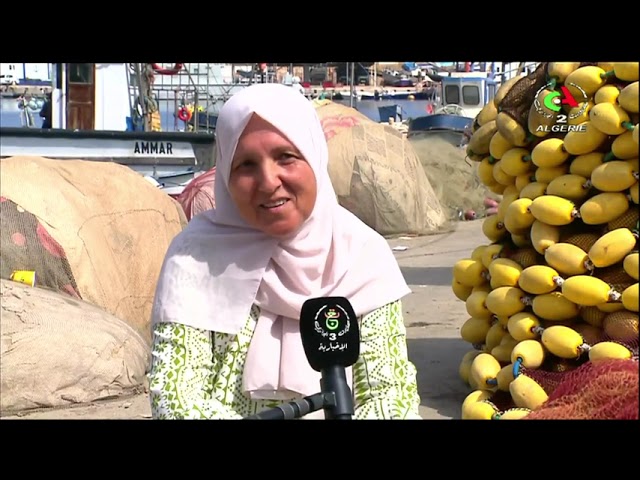 ⁣Port de pêche de Cherchell: à la découverte du métier de ramendeur