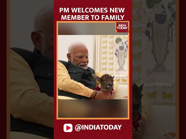 ⁣PM Modi Welcomes New Member 'Deepjyoti' To The Family | India Today