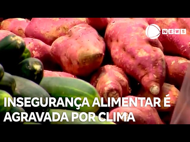 ⁣Mudanças climáticas agravam insegurança alimentar