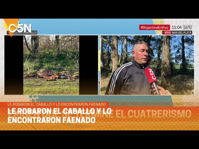 ⁣Le ROBARON el CABALLO y lo ENCONTRARON FAENADO