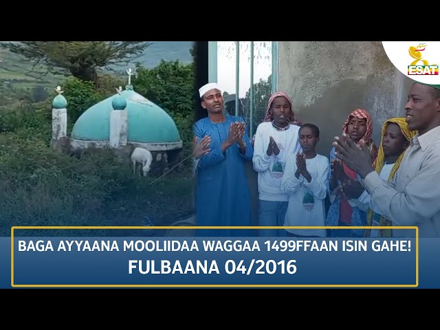 ⁣Ethiopia -BAGA AYYAANA MOOLIIDAA WAGGAA 1499FFAAN ISIN GAHE! 14 SEPTEMBER 2024