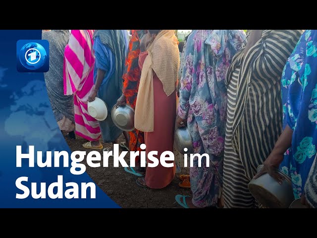 ⁣Bürgerkrieg im Sudan: Hungerkrise und steigende Zahl von Cholera-Fällen