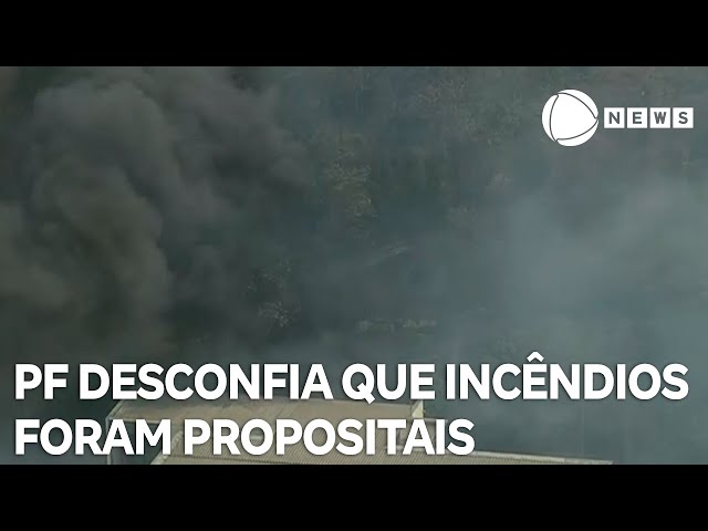 ⁣PF desconfia que incêndios florestais foram propositais