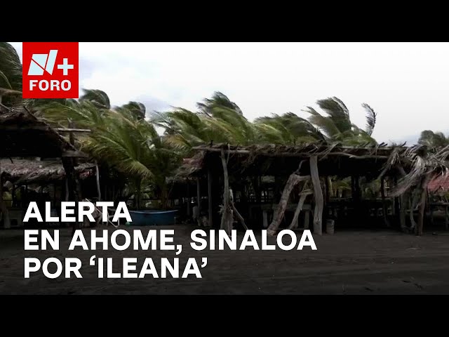 ⁣Tormenta Ileana podría tocar tierra en Ahome, Sinaloa - Las Noticias