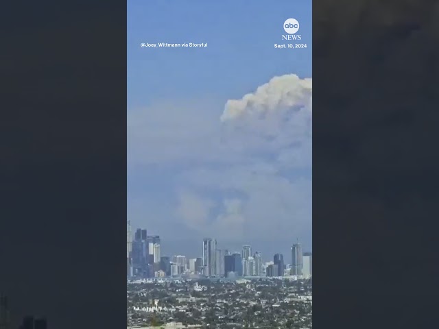 ⁣Timelapse shows smoke, flames over LA skyline amid wildfire