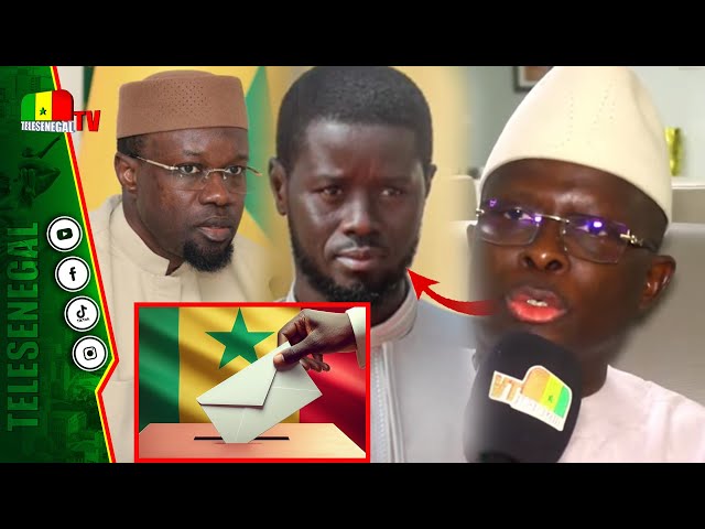 ⁣Modou Diagne Fada : La démarche maladroite de Sonko-Diomaye risque de leur faire perdre la majorité