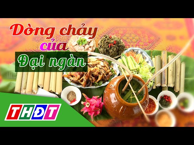 ⁣Ký ức bên những dòng kênh | Tập 41: Dòng chảy của Đại ngàn | THDT