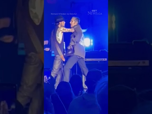 ⁣WATCH: Dave Navarro punched by band member #JanesAddiction