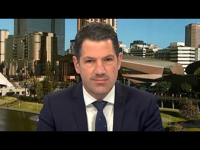 ‘Shocking piece of legislation’: Alex Antic savages Labor’s misinformation bill