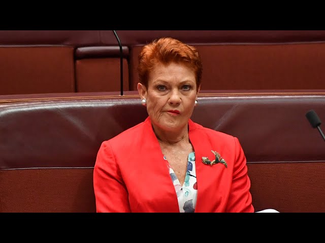 ⁣‘Shouldn’t be controversial’: Pauline Hanson’s biological reality bill shot down