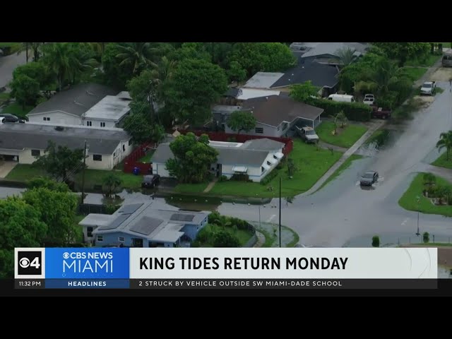 ⁣King tides return to South Florida