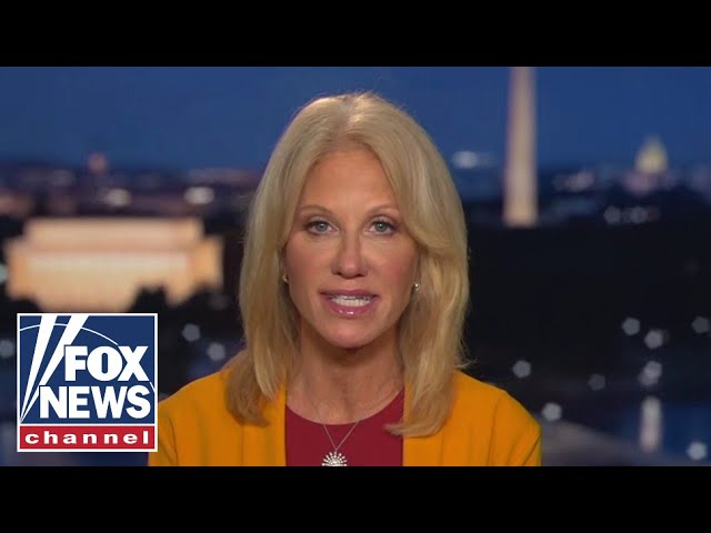 ⁣Kellyanne Conway: VP Kamala Harris is in the 'political witness protection program'