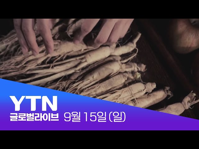 ⁣[반복재생/고화질] 인삼, 알고 보면 독립 운동의 숨겨진 영웅?! | 글로벌 다큐멘터리 몰아보기