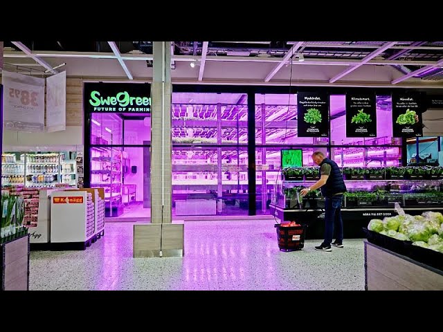 ⁣¿Por qué esta granja vertical sueca cultiva verduras dentro de los supermercados?