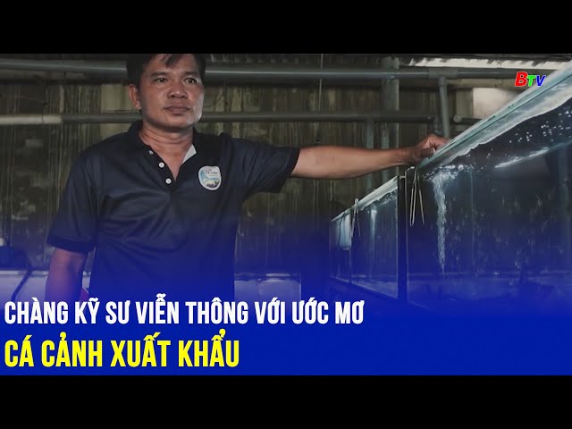 ⁣Chàng kỹ sư viễn thông với ước mơ cá cảnh xuất khẩu