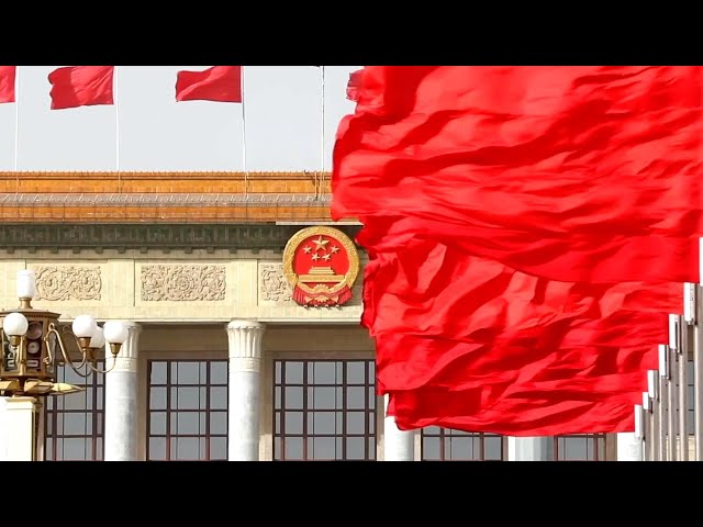 ⁣GLOBALink | How lawmakers fulfill duties in Chinese democracy