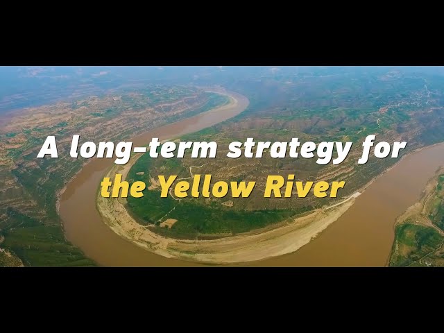 ⁣China committed to Yellow River basin ecological conservation, high-quality development