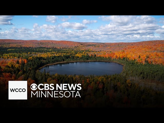 ⁣When to expect fall colors to start emerging in Minnesota