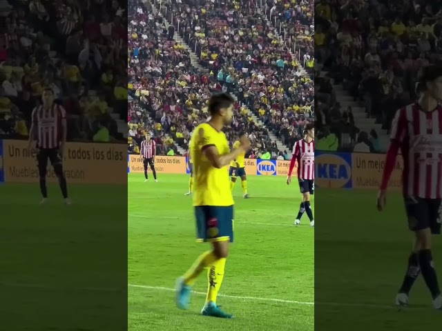 ¡'Chicote' olvidó su pasado chiva y dijo a la afición que América es el número uno!  #shor