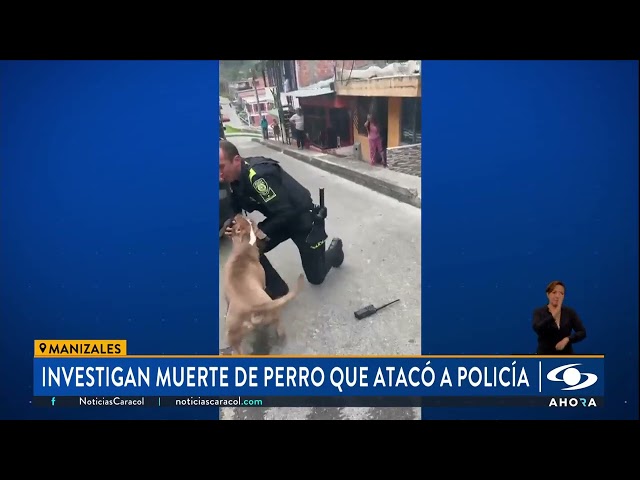 ⁣Investigan muerte de un perro que atacó a policía en Manizales