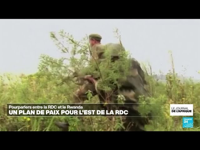 ⁣Reprise des pourparlers entre la RDC et le Rwanda • FRANCE 24