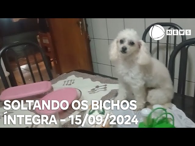 Soltando os Bichos - 15/09/2024