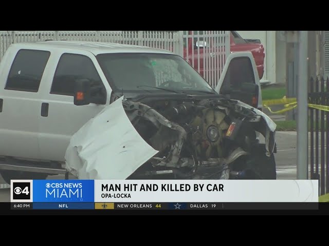 ⁣Man hit and killed by car in Opa-locka