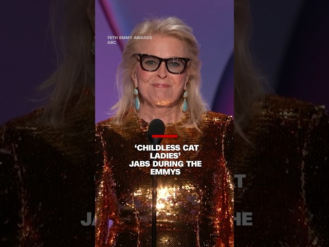 ⁣These celebs made ‘childless cat ladies’ and other political jabs during Emmys