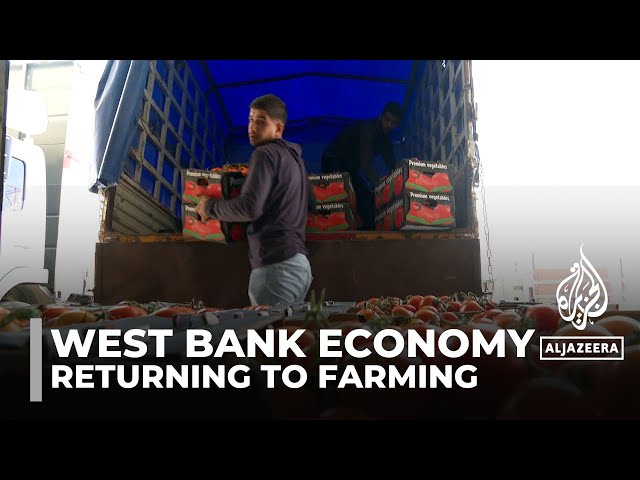 ⁣Occupied West Bank economy: Farming initiatives aim to tackle unemployment