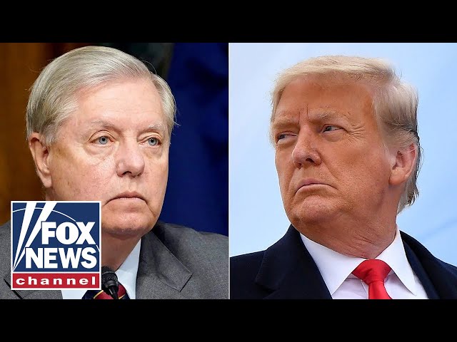 ⁣Lindsey Graham: 'How could this happen?'